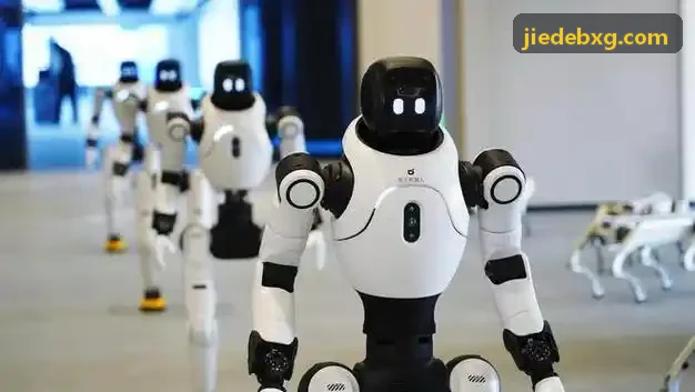 专业咨询服务行业J9娱乐APP实施方案
